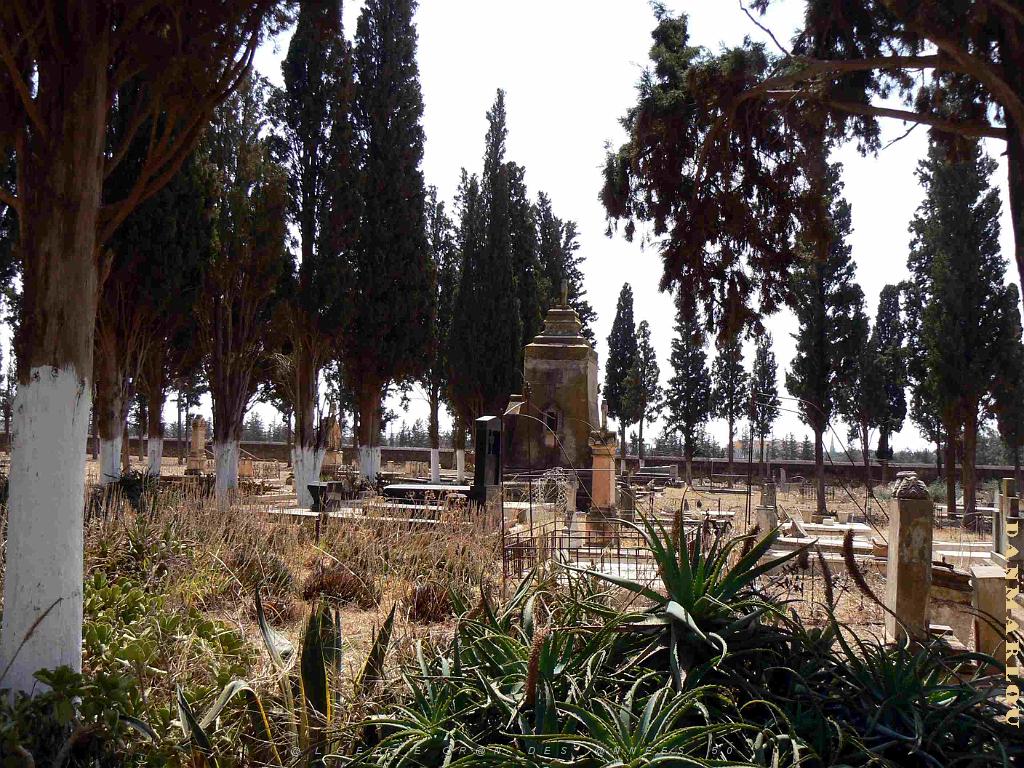 HAMMAM BOU HADJAR 2009 LE CIMETIERE   (9).jpg